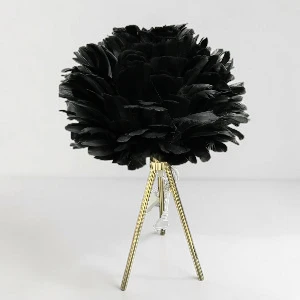 Lampe de chevet à plume